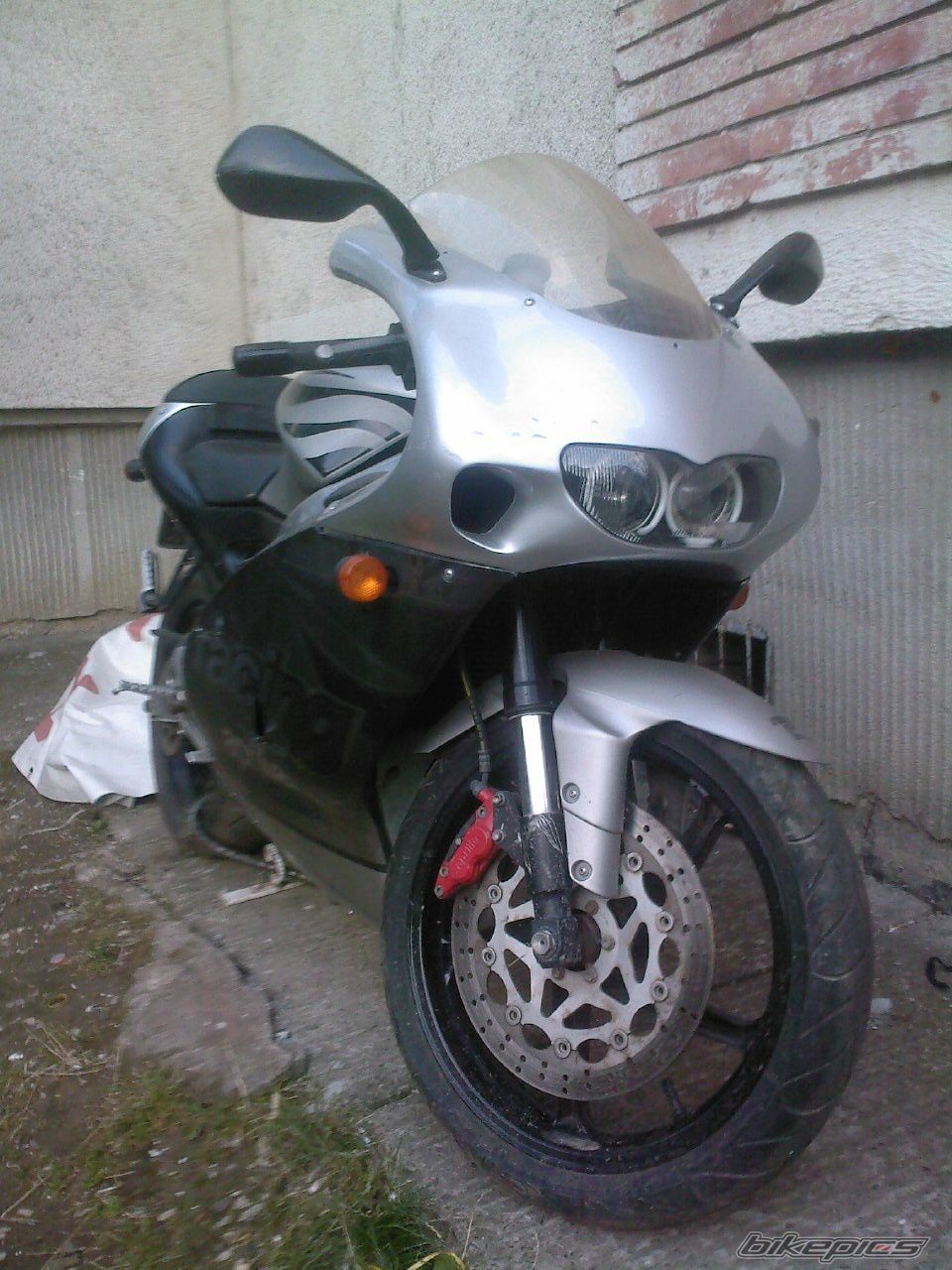 Photo 1725938