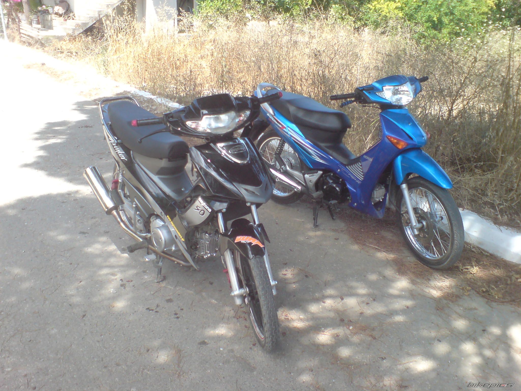 Photo 1725969
