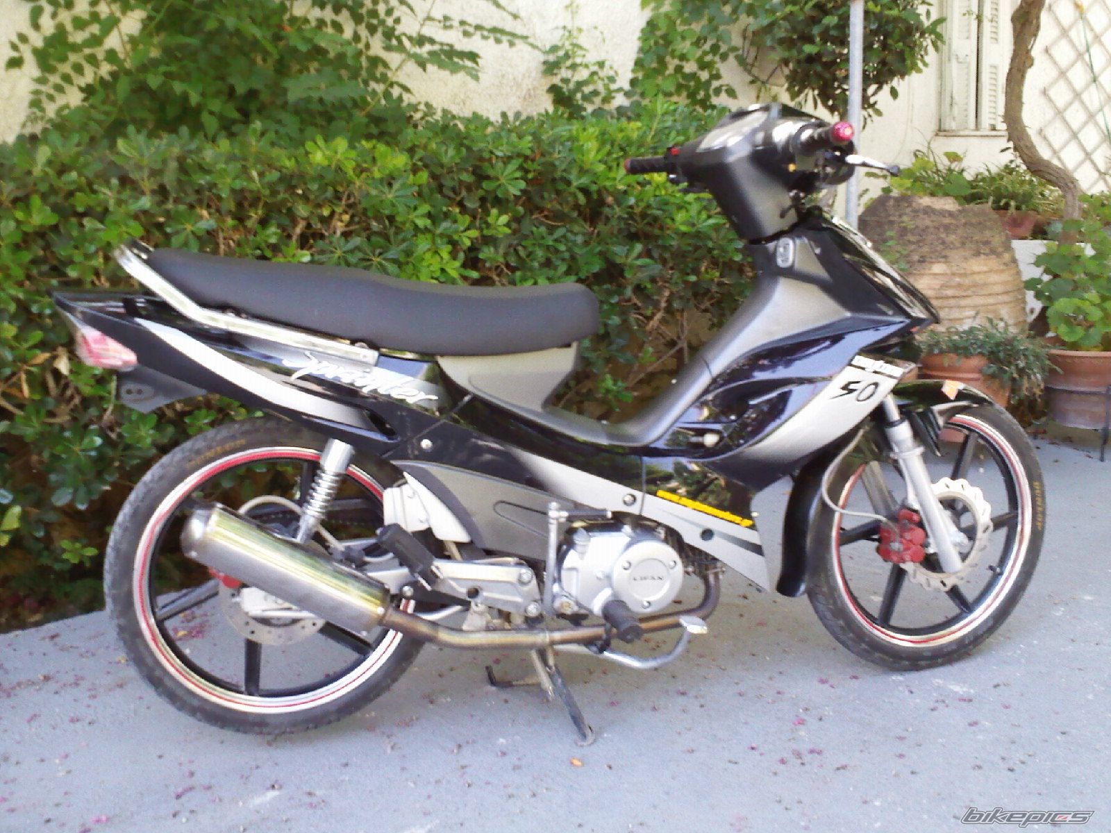 Photo 1725972