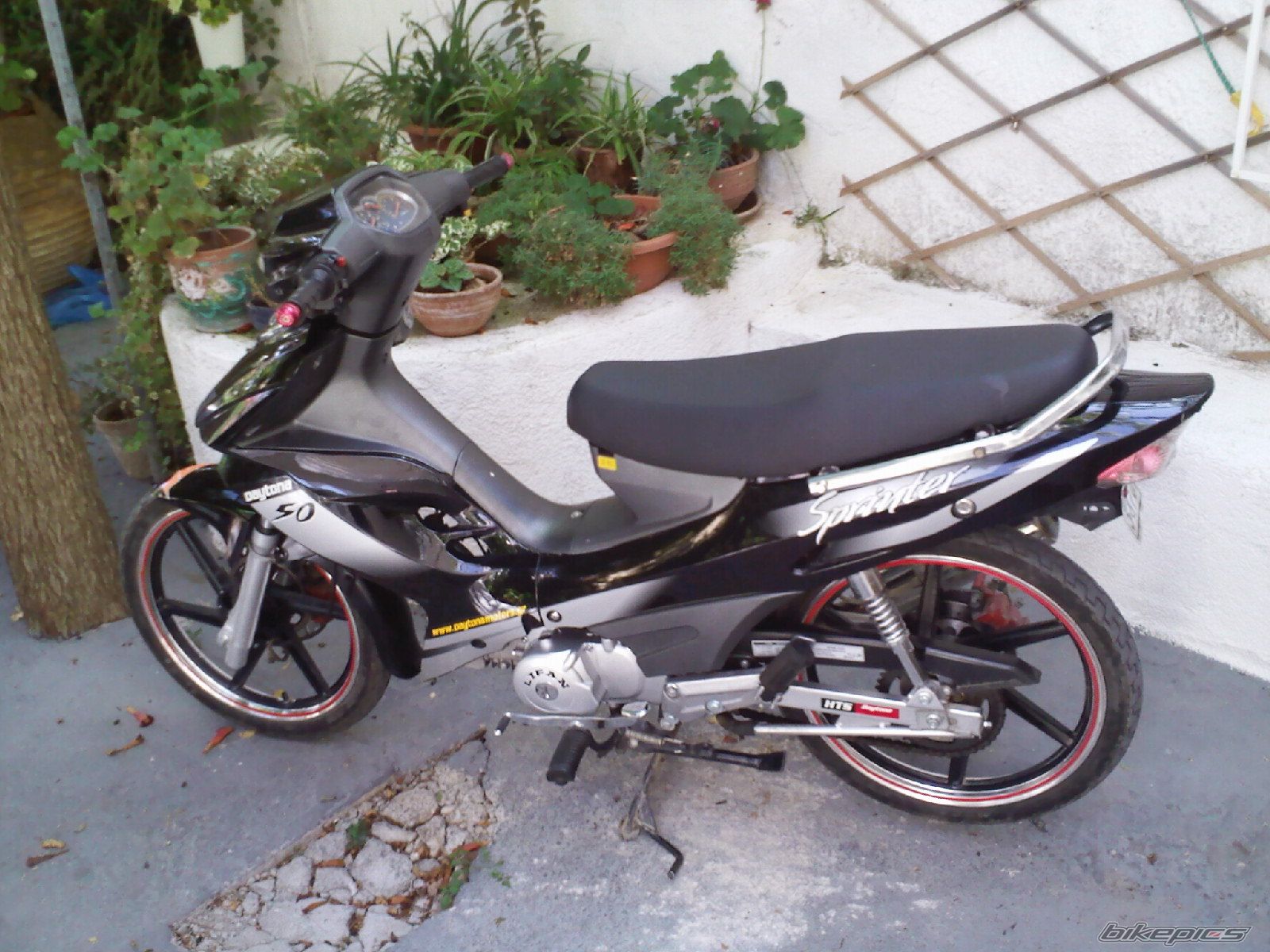Photo 1725974