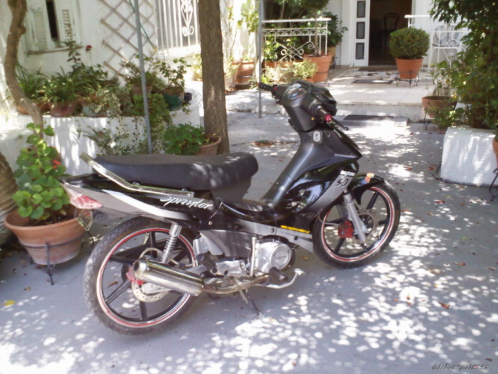Photo 1725984