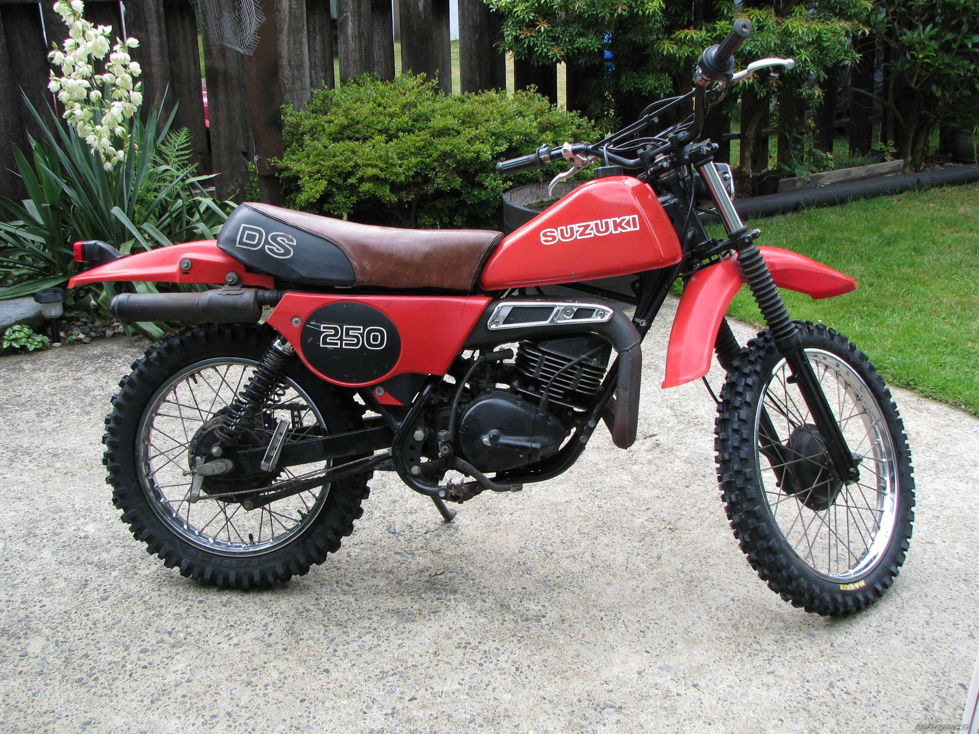 DS 250