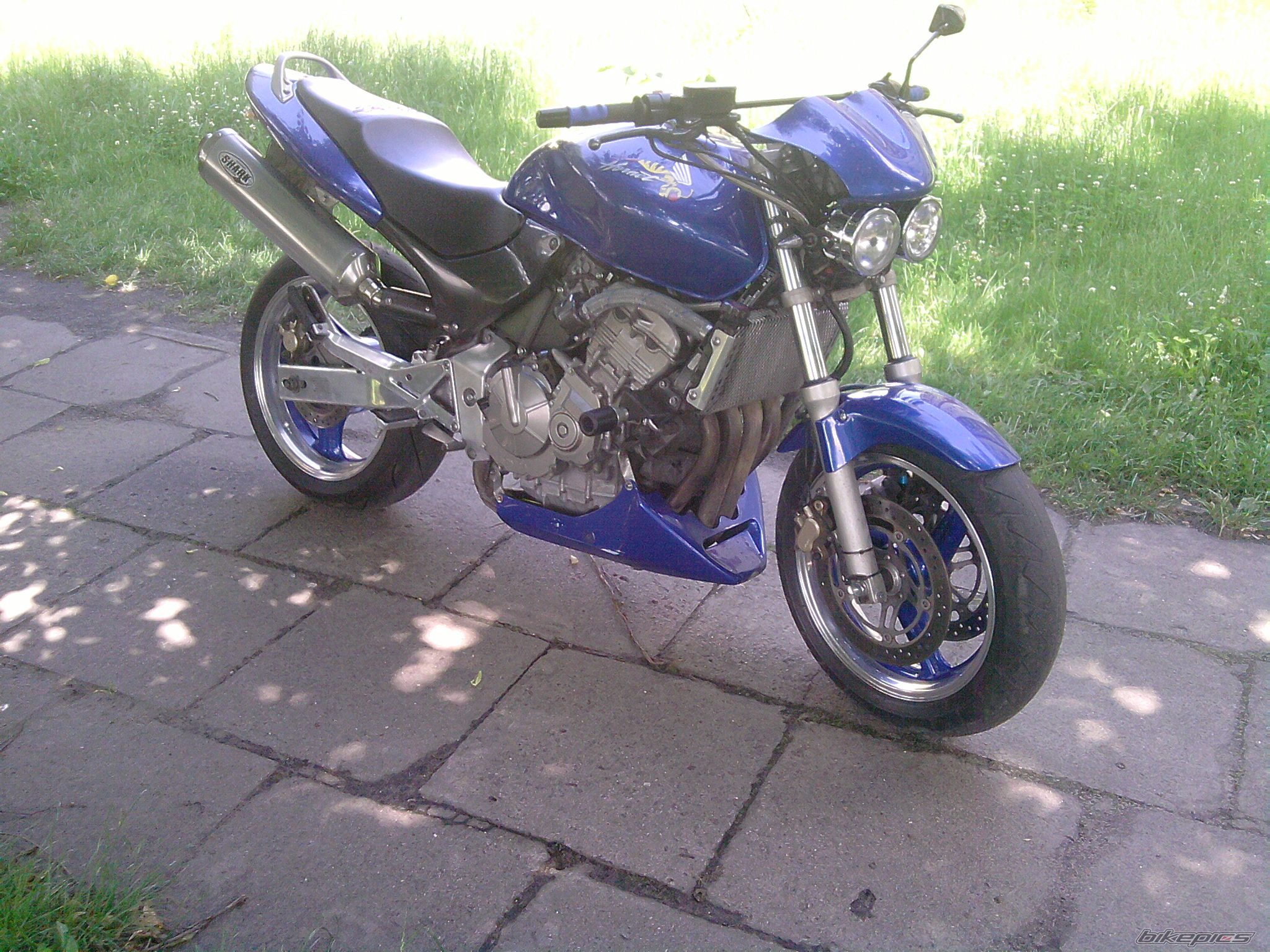 Photo 1726159
