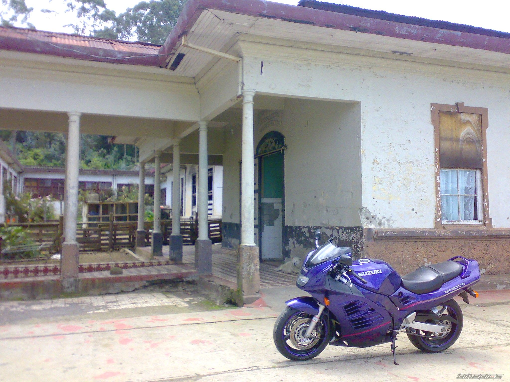 Photo 1726452