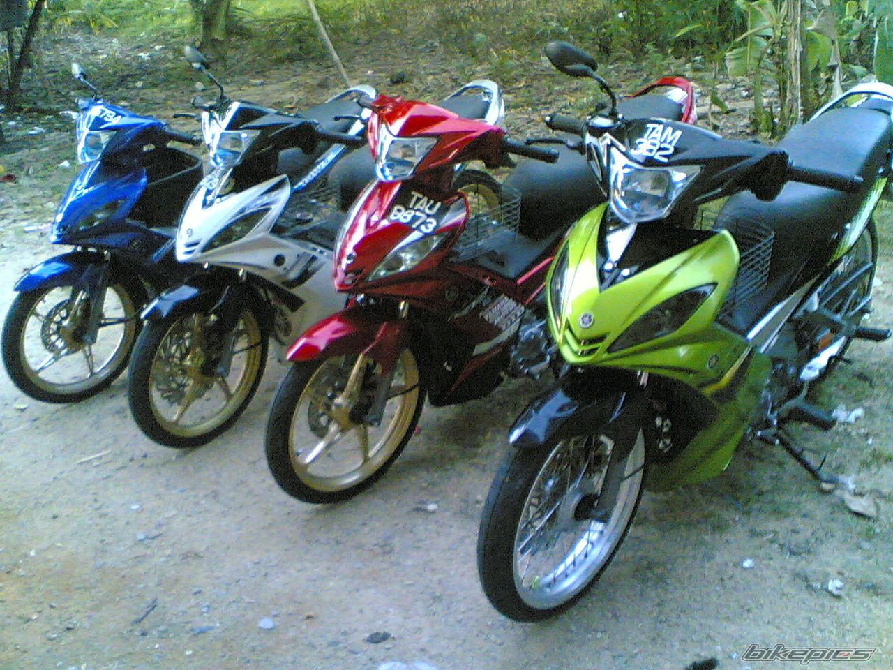 Photo 1726570