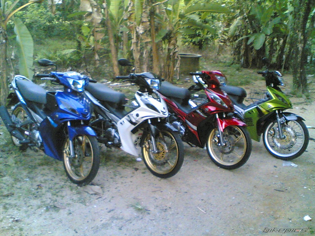 Photo 1726573