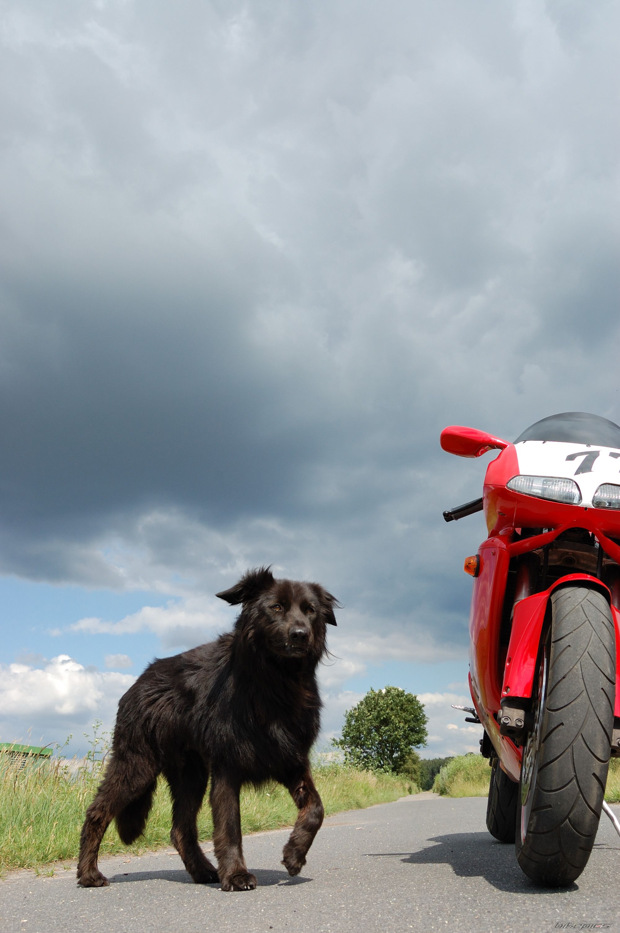 Photo 1726930