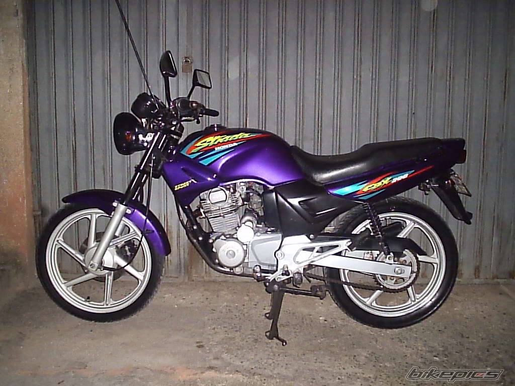 Photo 172701