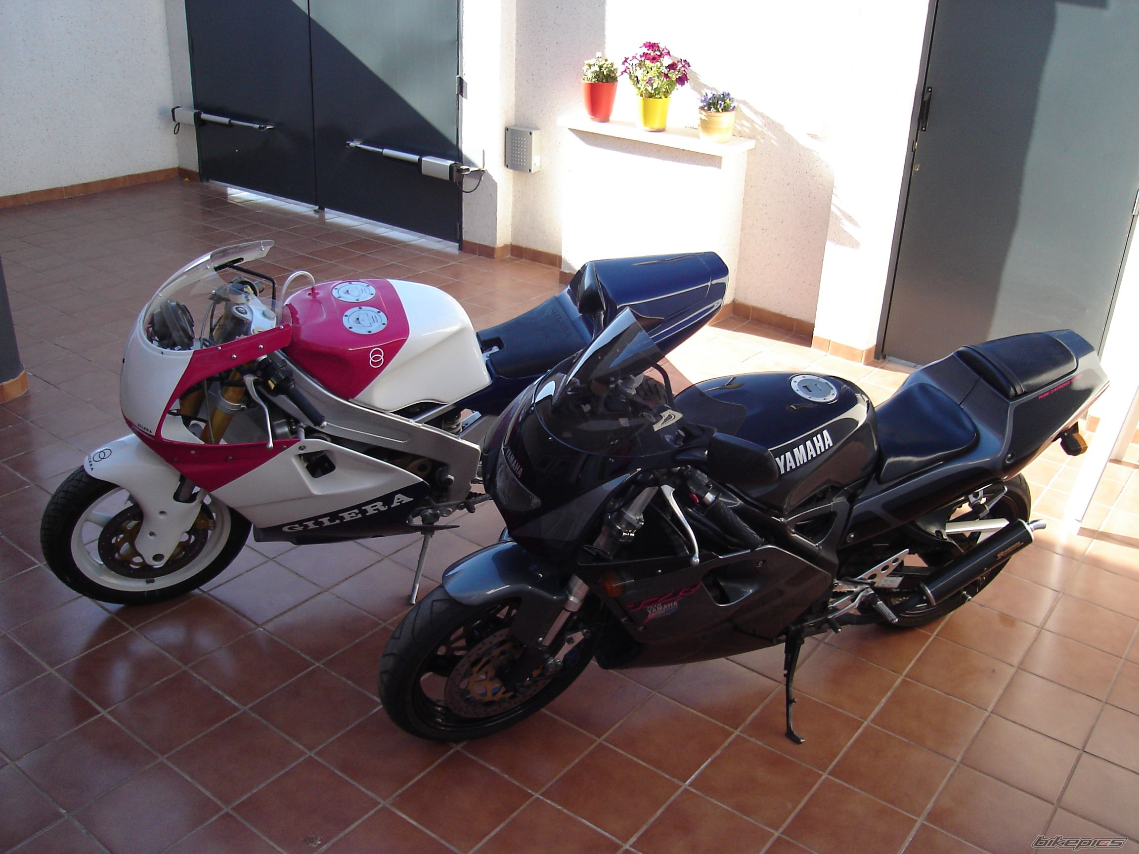 Photo 1727128