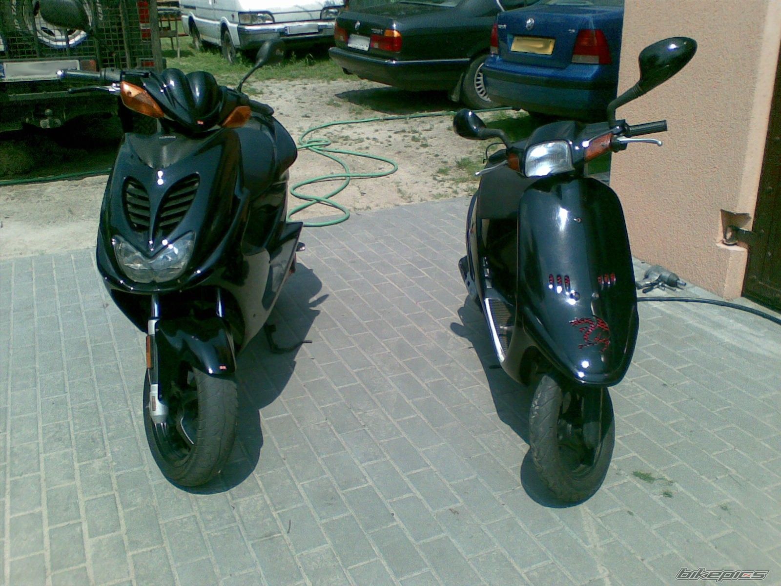 Photo 1727184