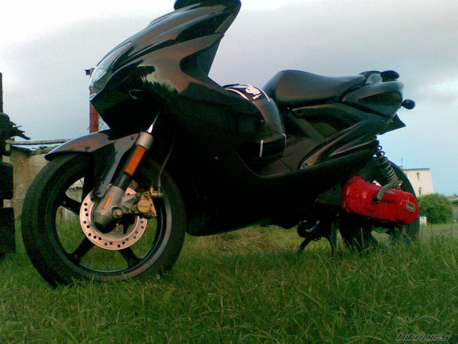 Photo 1727272
