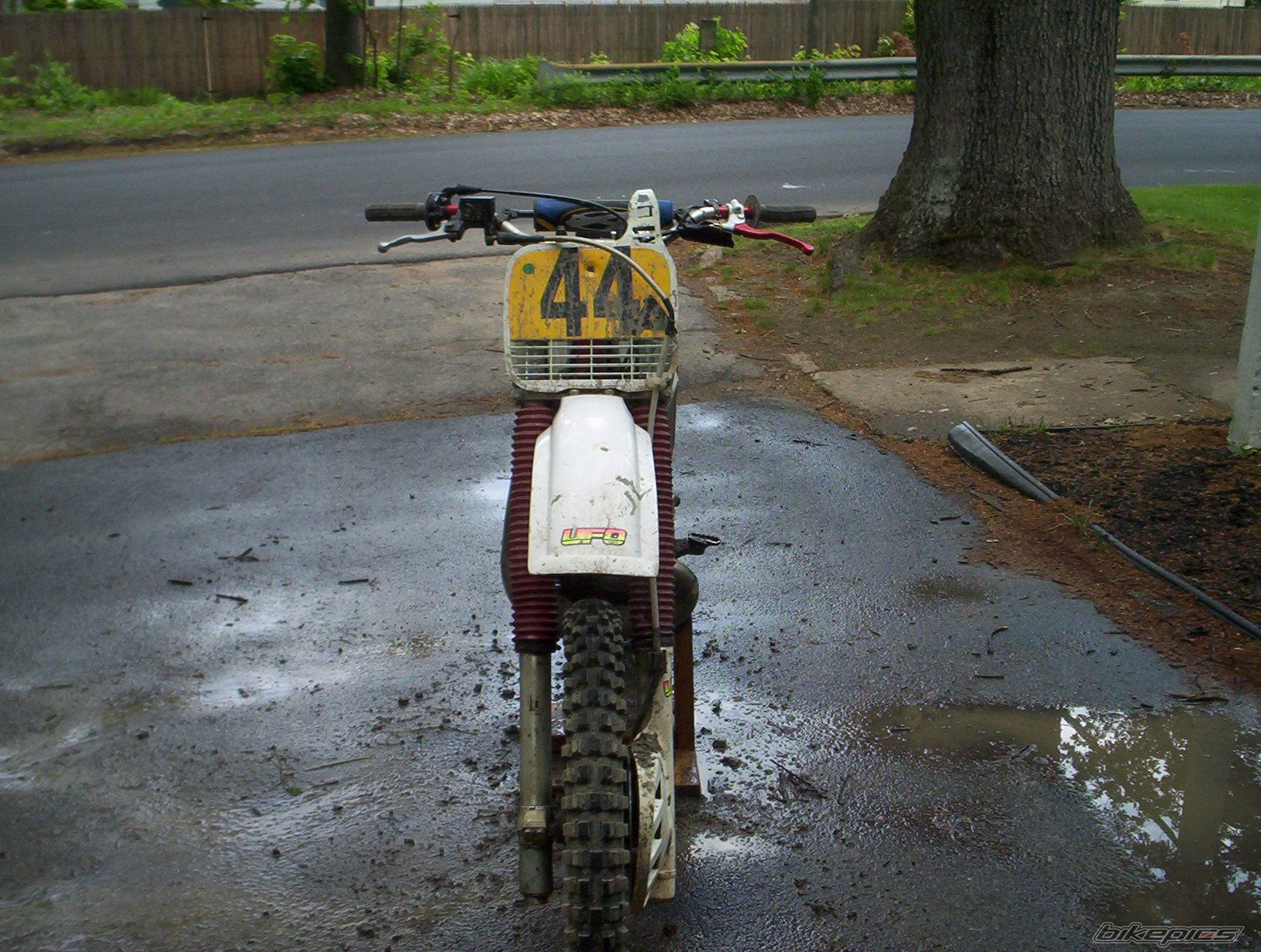 Photo 1727402