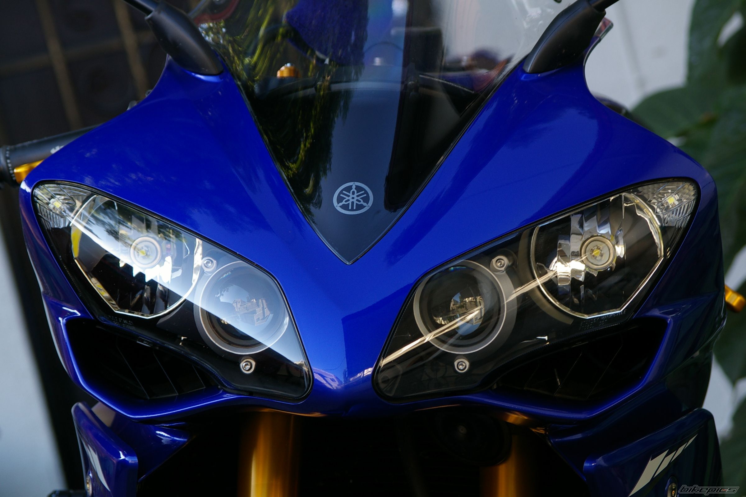 Photo 1727419