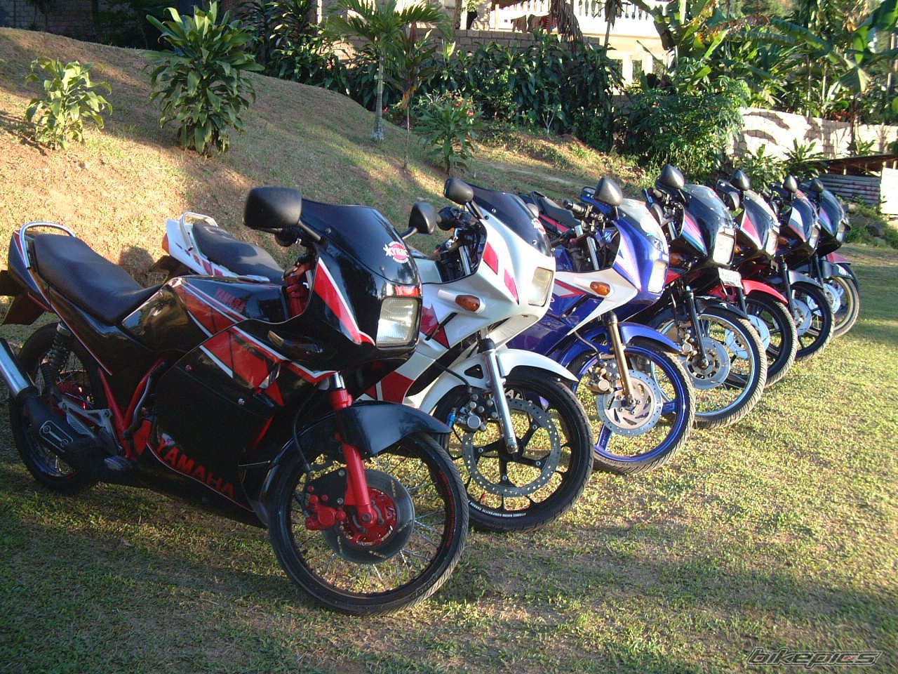 Photo 1727472