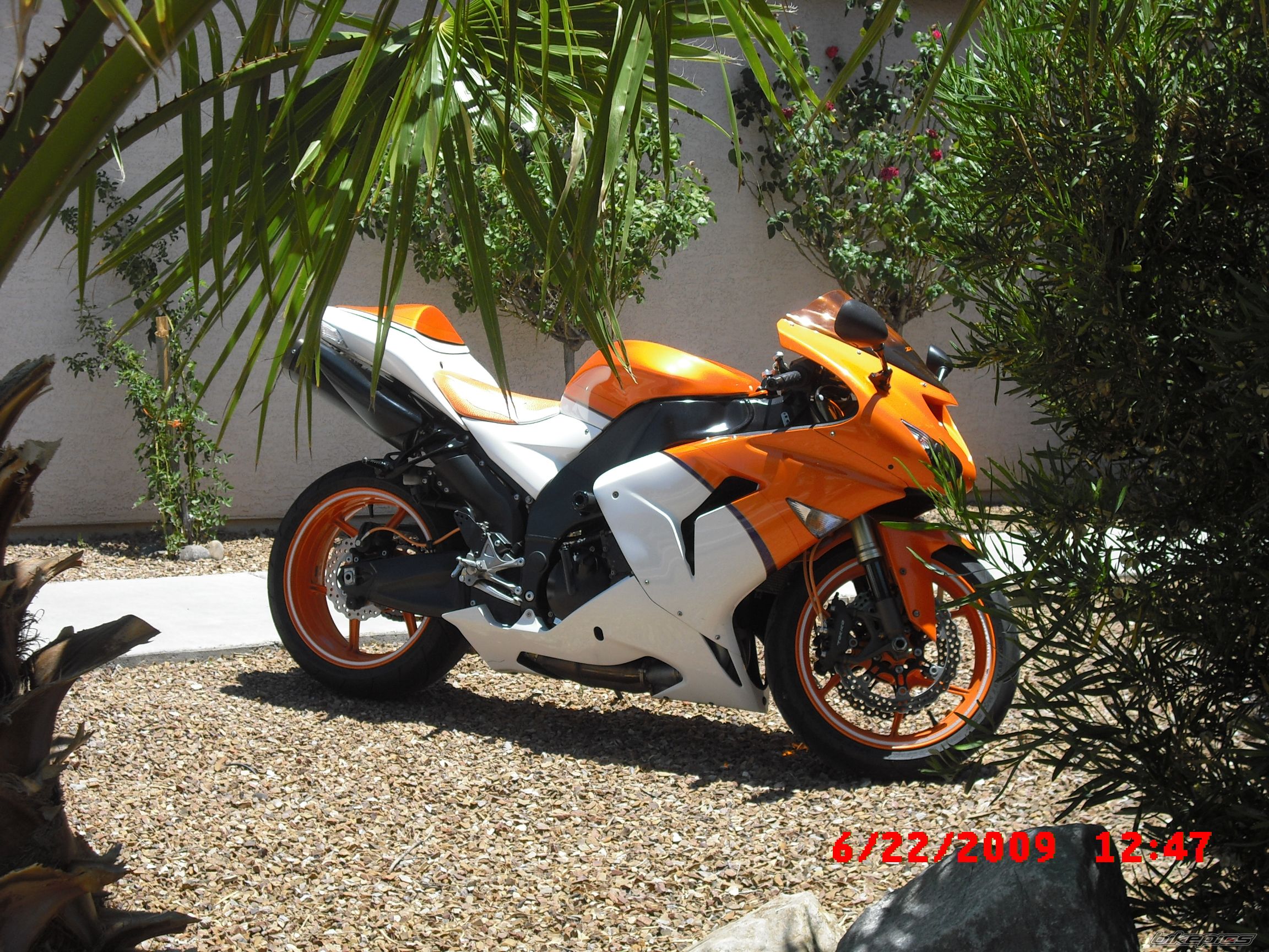 Photo 1727554