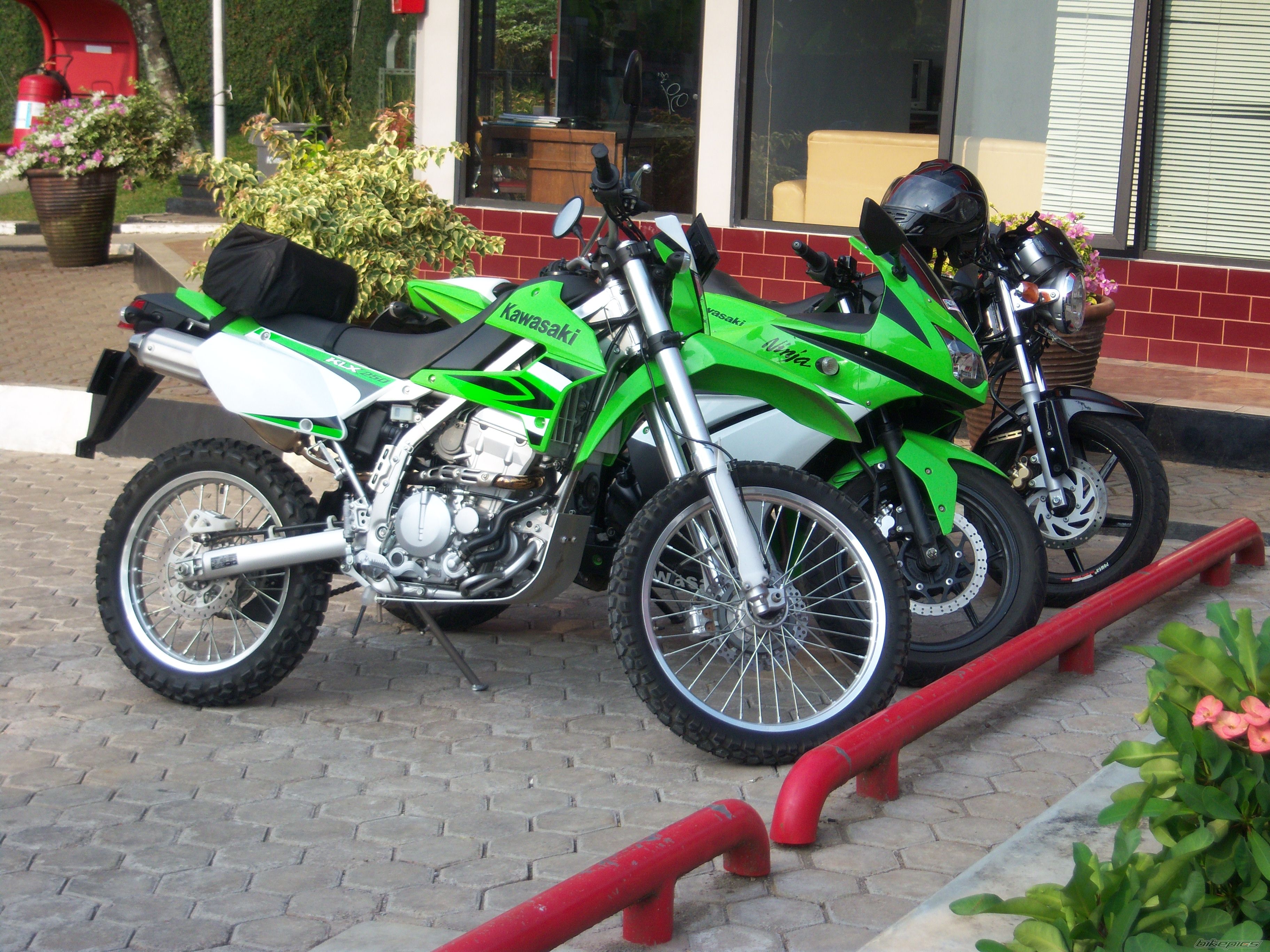 Photo 1727666
