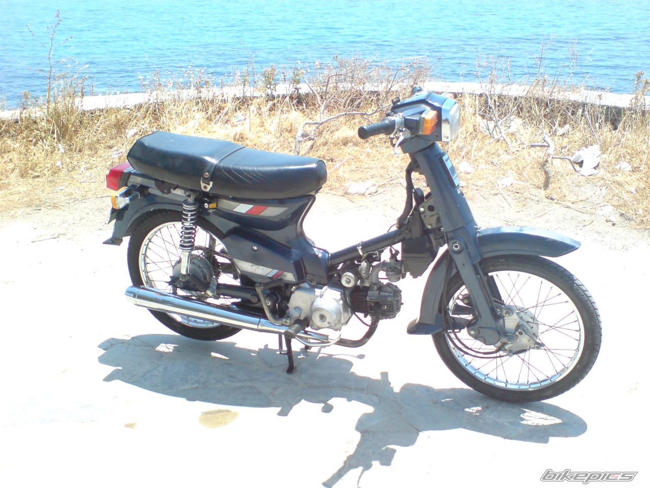 Photo 1727783
