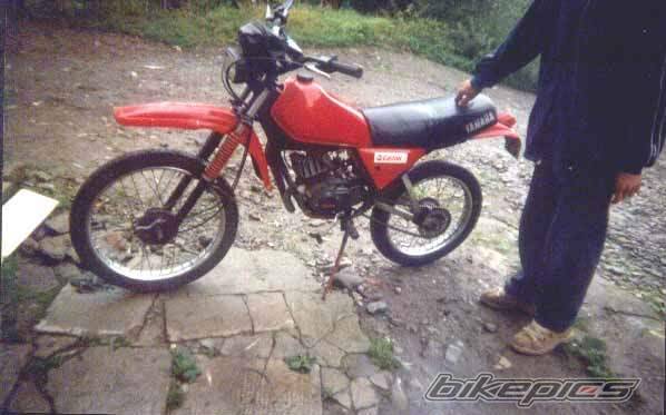 Photo 172784