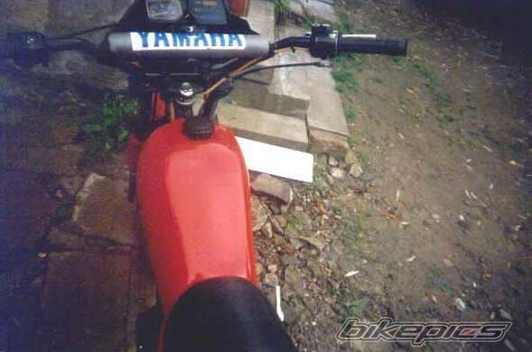Photo 172788