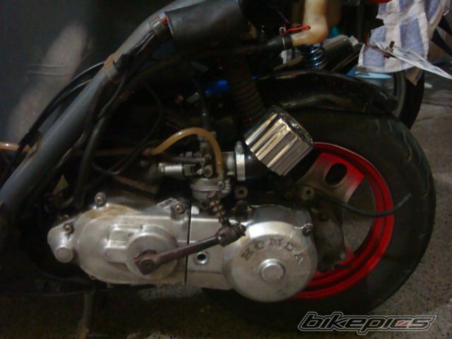 Photo 1727901