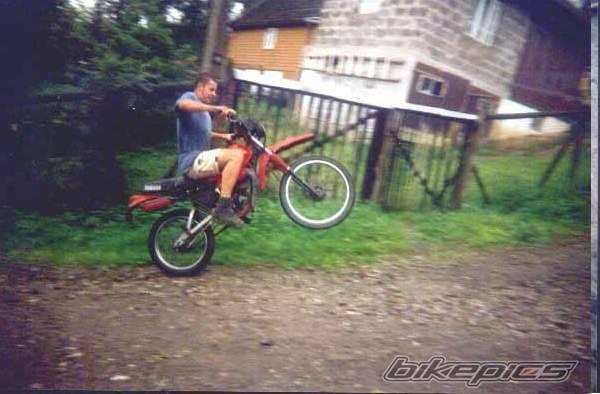 Photo 172792