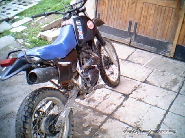 Photo 172795