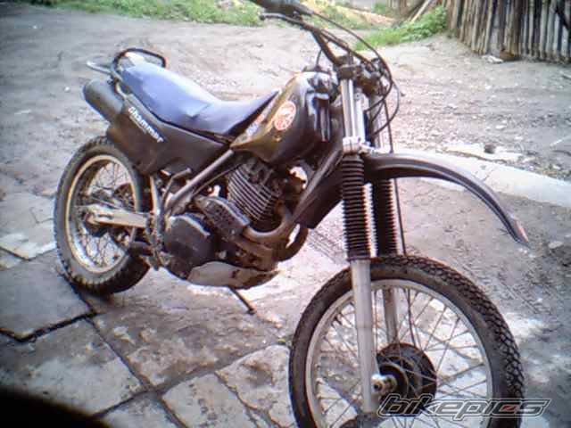 Photo 172796