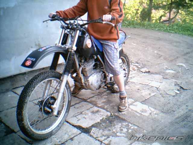 Photo 172797
