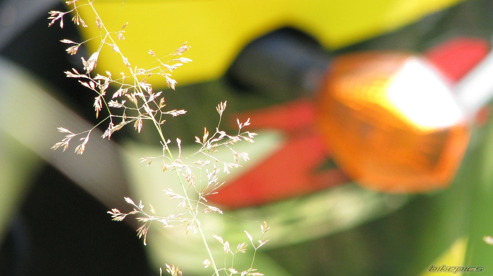 Bike Photo 1727976