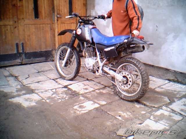 Photo 172798