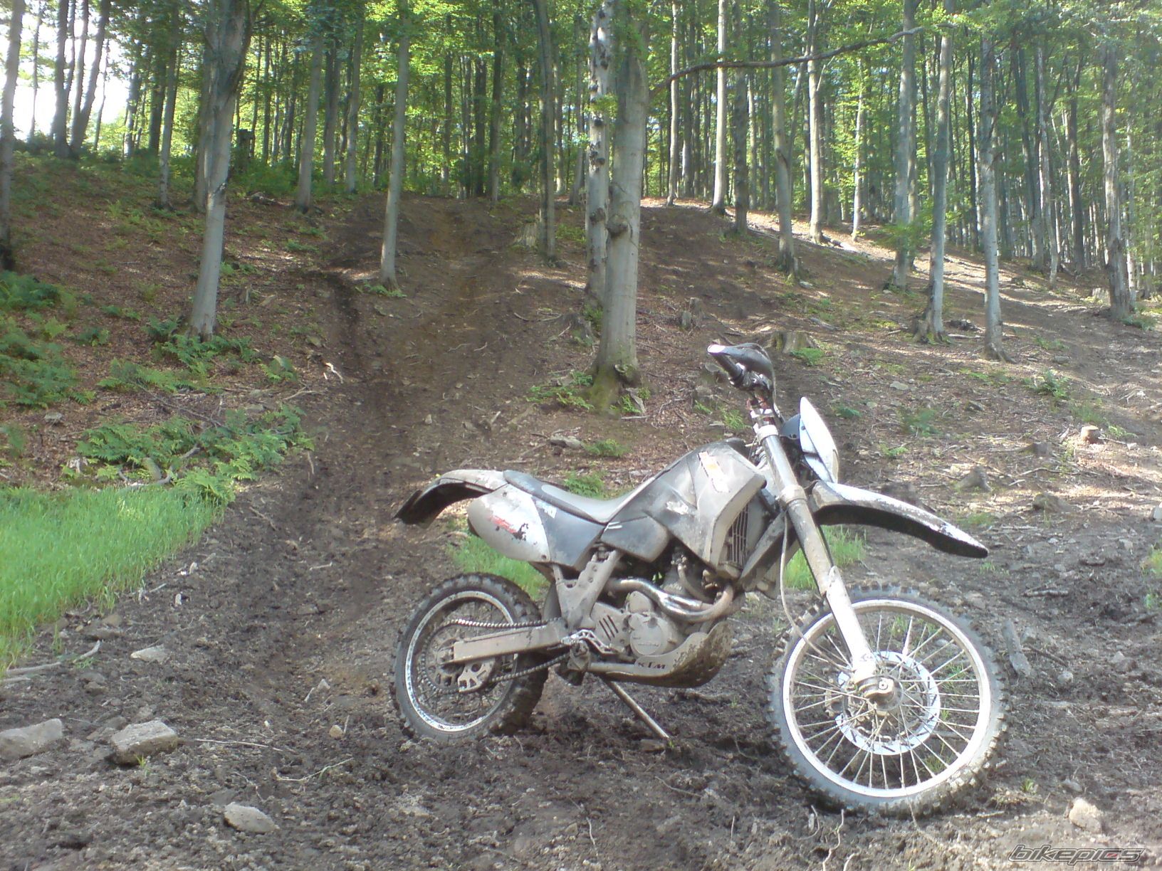 Bike Photo 1727985