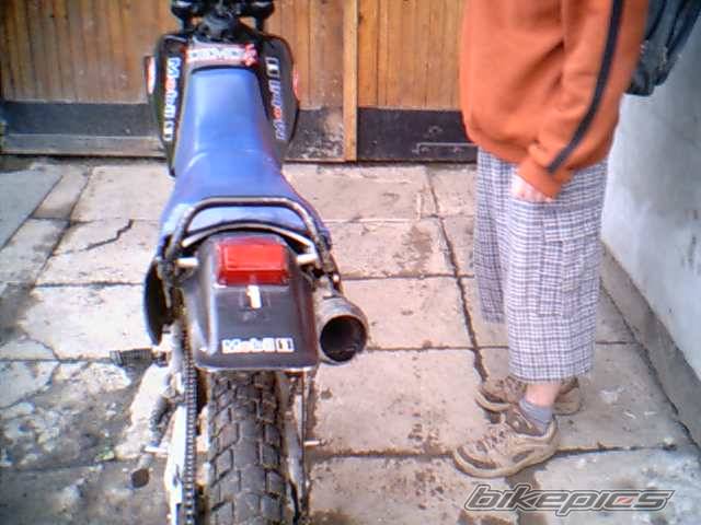 Photo 172799