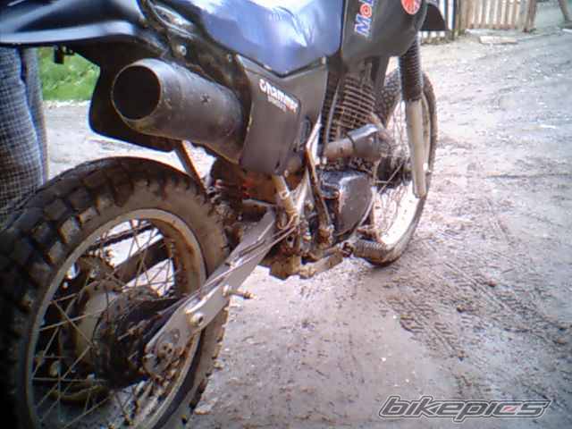 Photo 172805