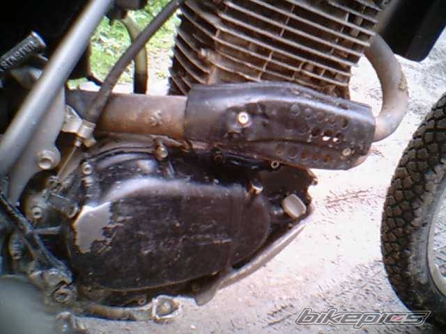 Photo 172807