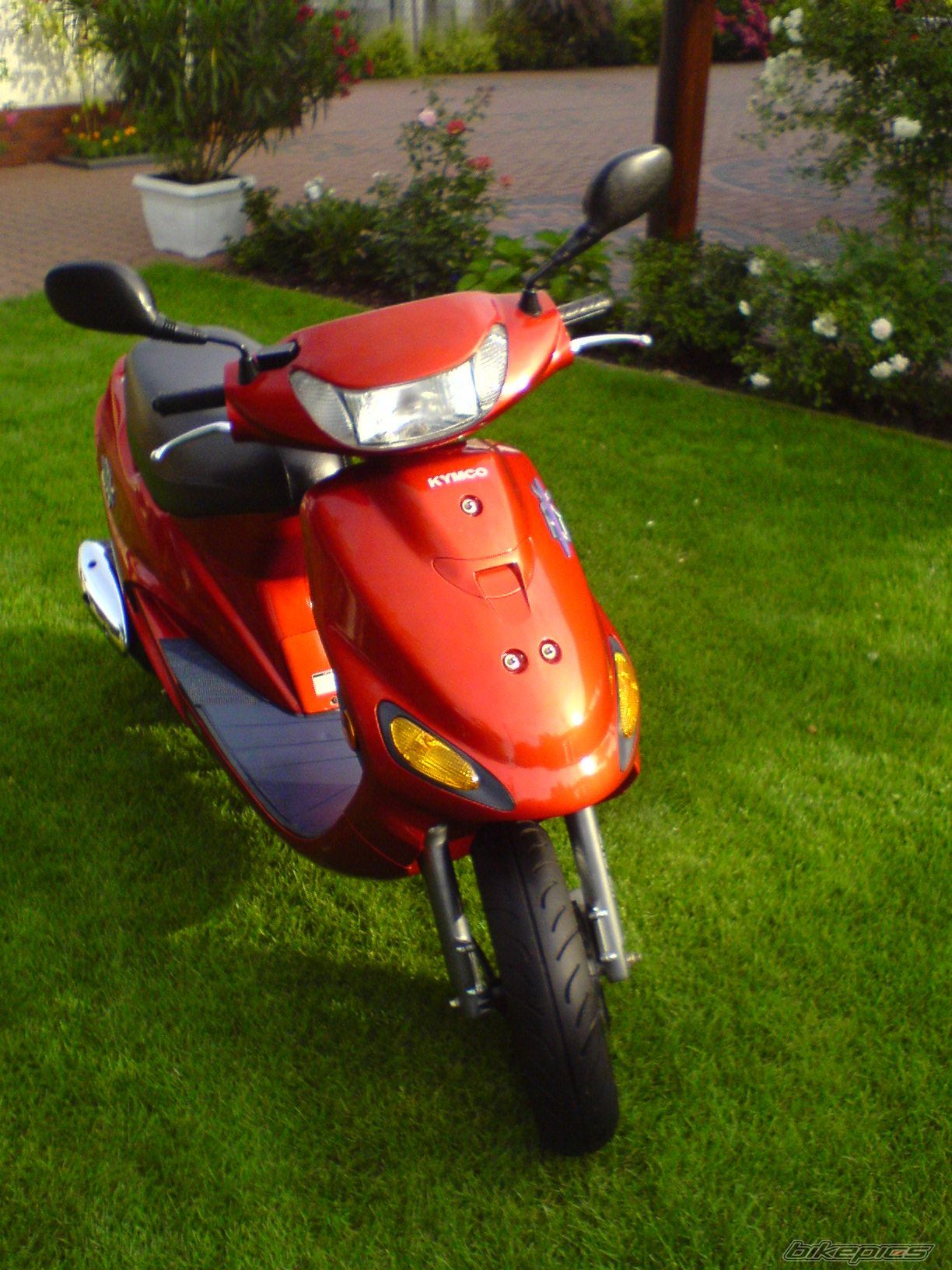 Photo 1728092