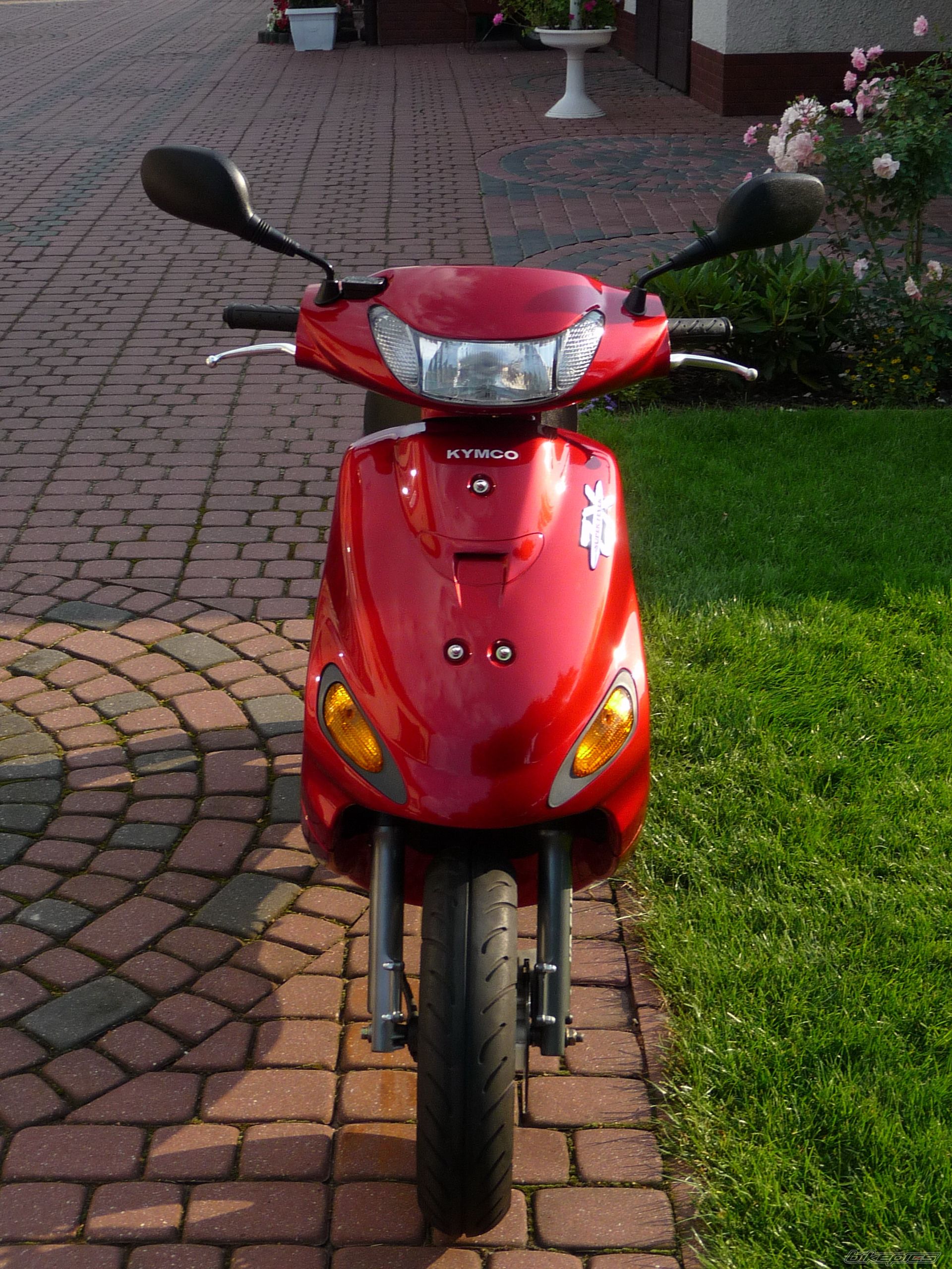 Photo 1728123