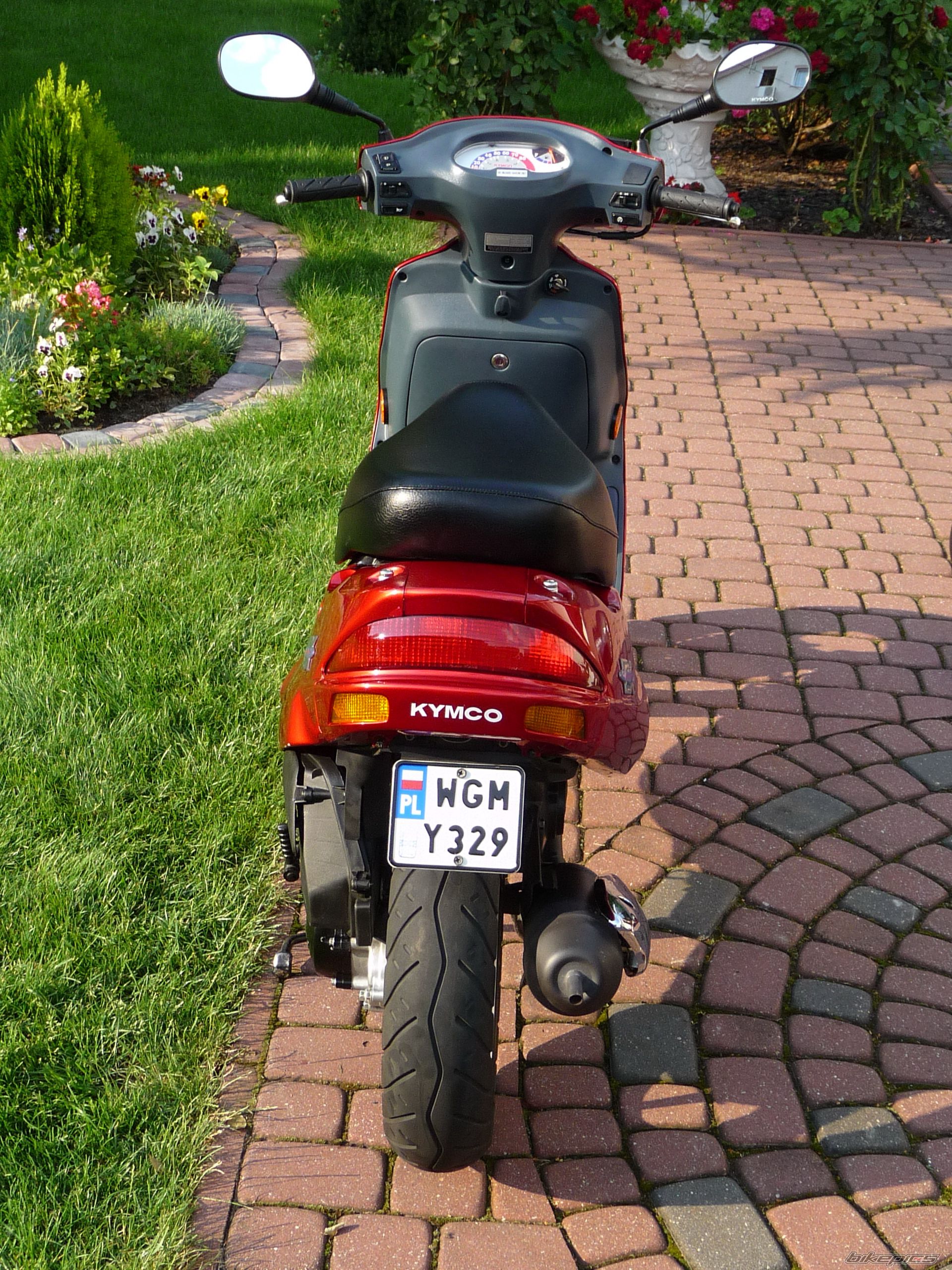 Photo 1728127