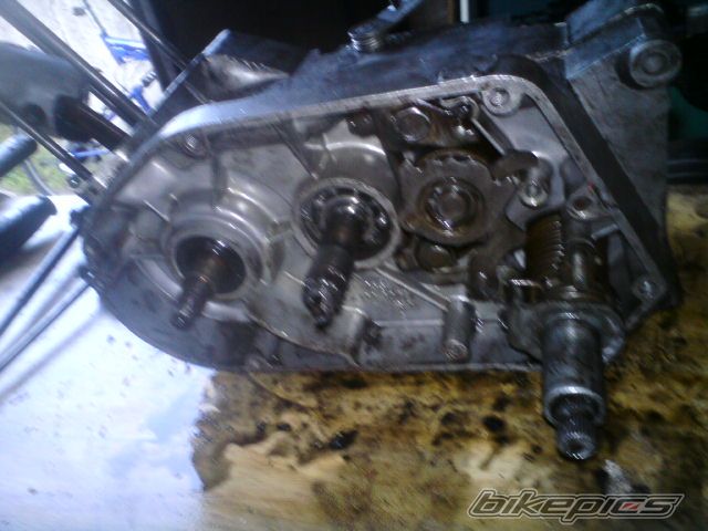 Bike Photo 1728208