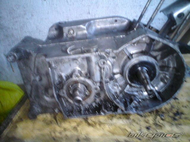 Photo 1728210