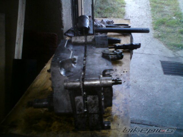 Photo 1728211