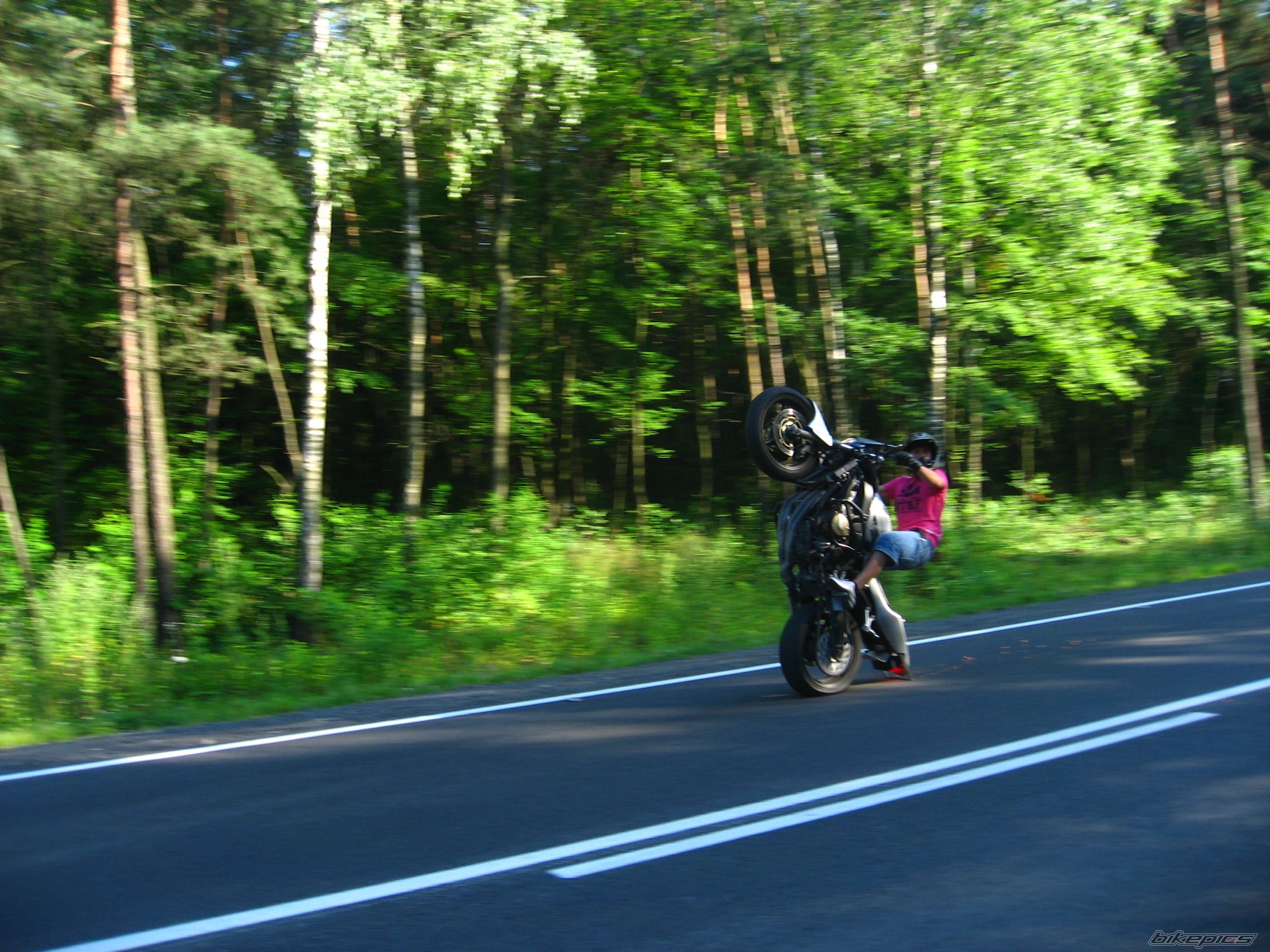 Photo 1728315