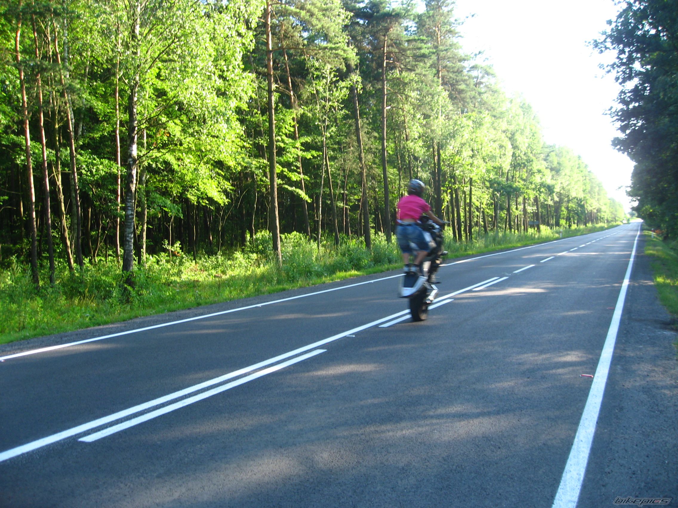 Photo 1728321