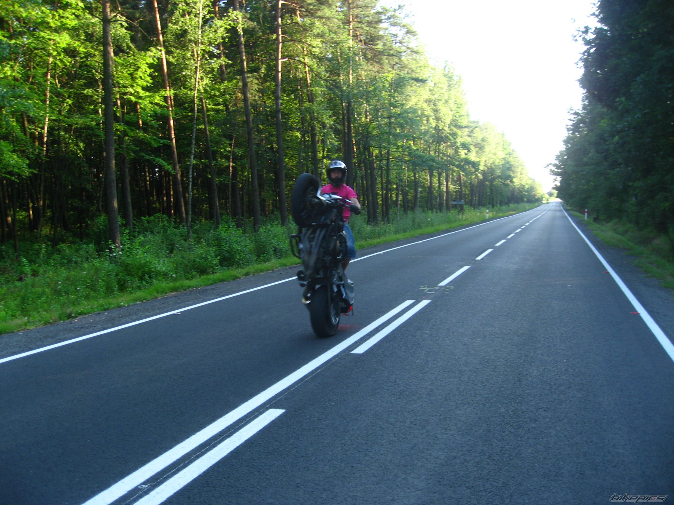 Photo 1728324
