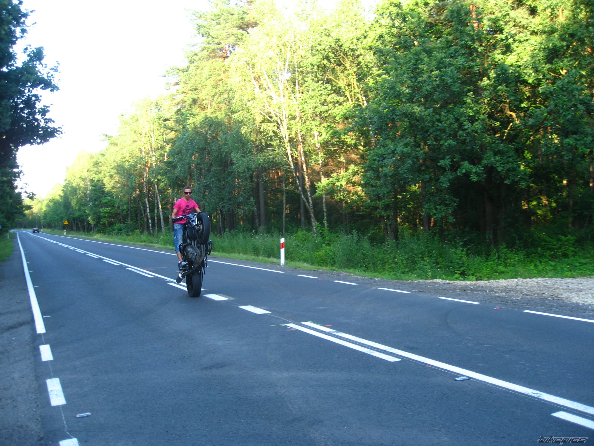 Photo 1728332