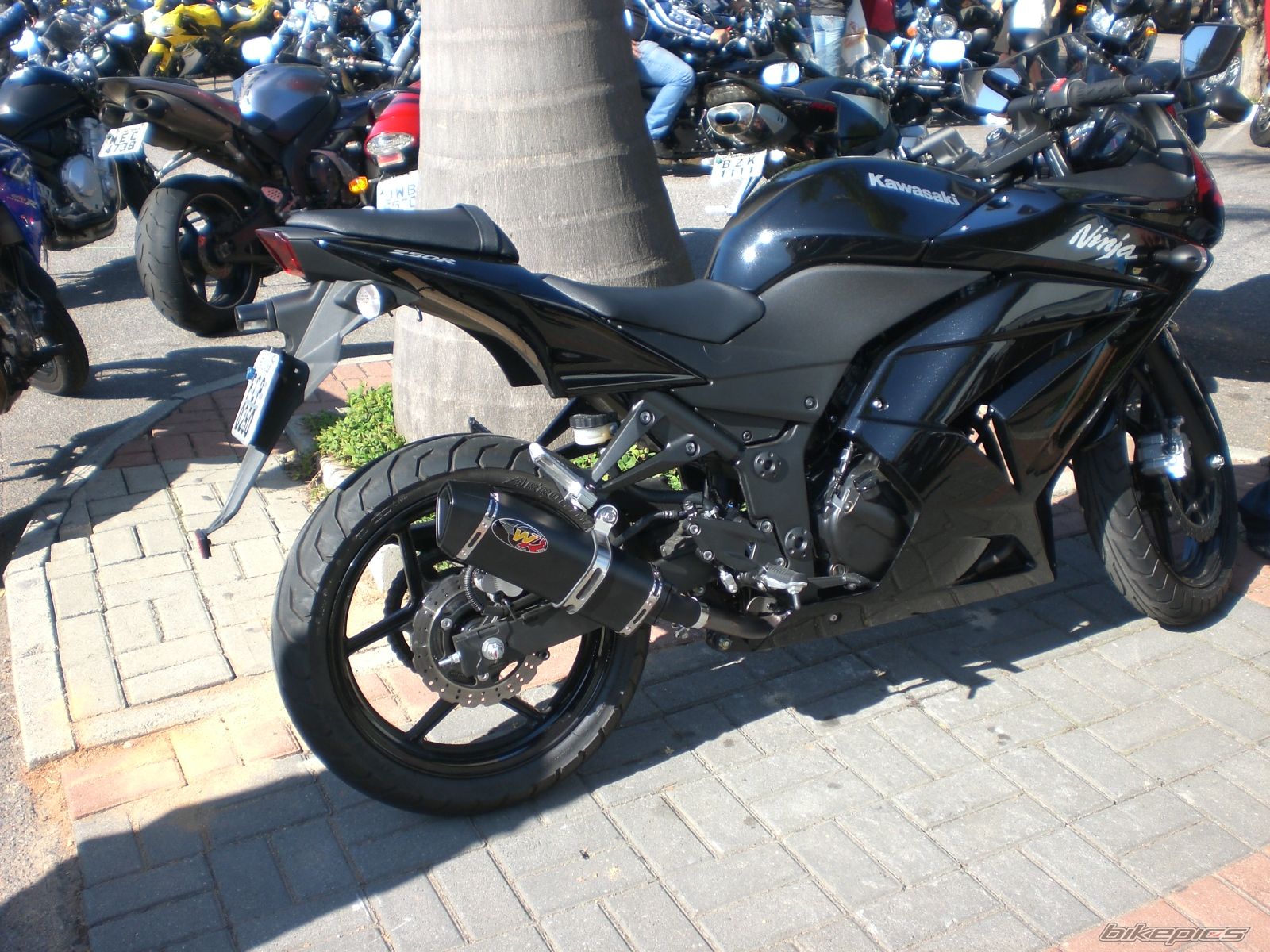Photo 1728355