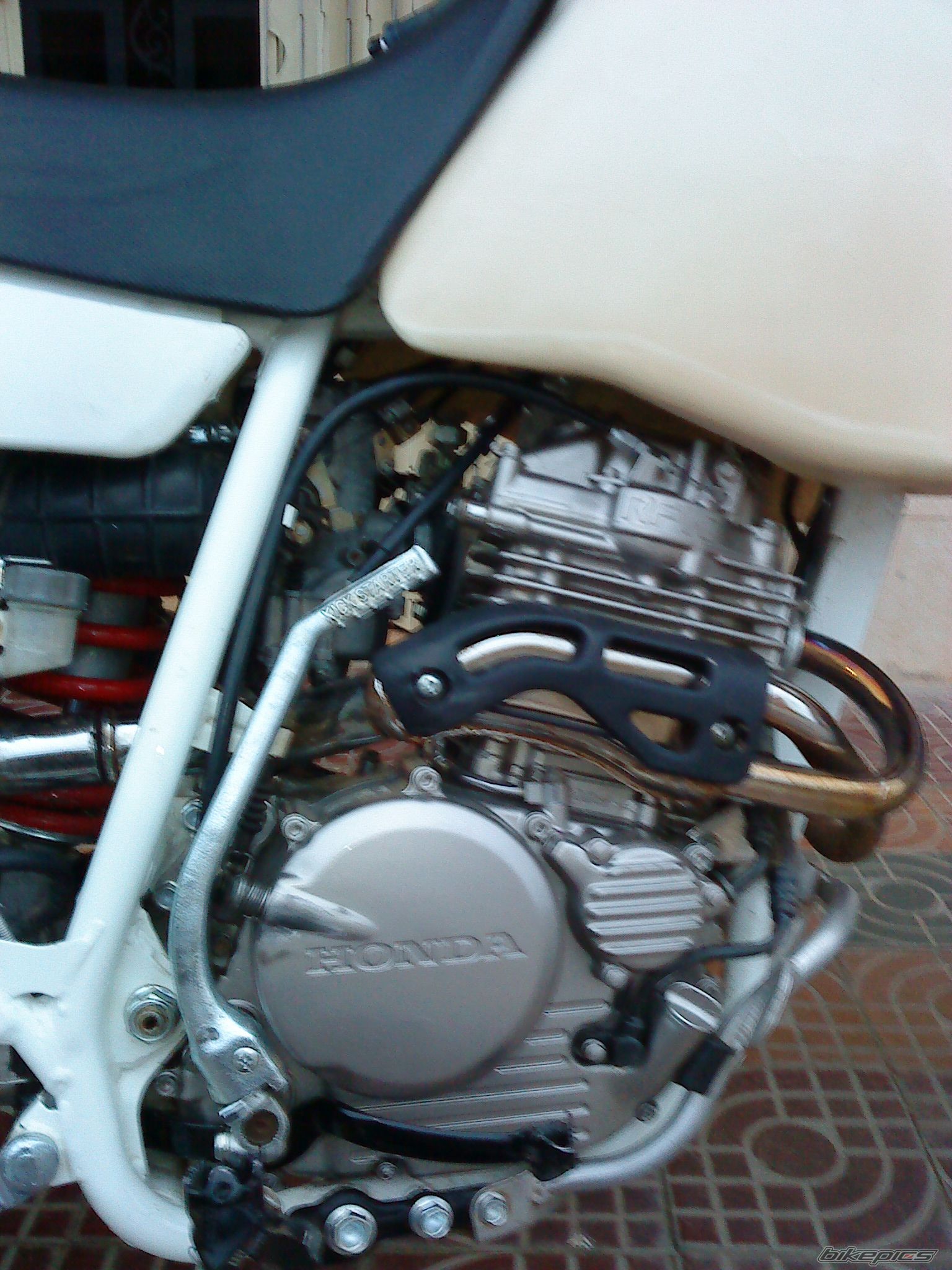 Photo 1728358