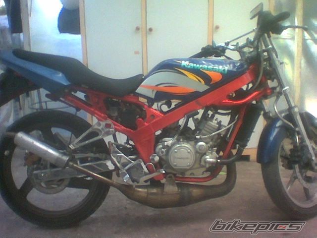 Photo 1728407