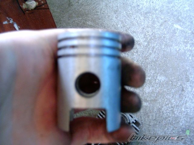 Photo 1728486
