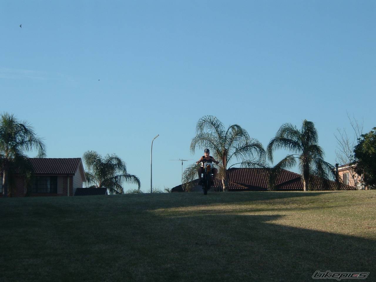 Photo 172851