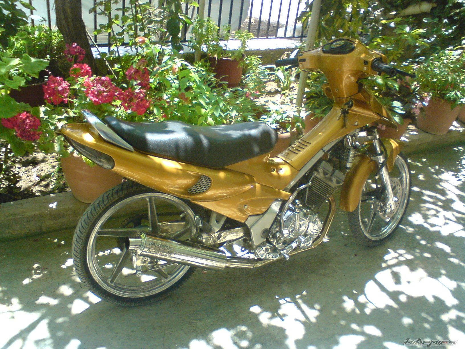 Photo 1728597